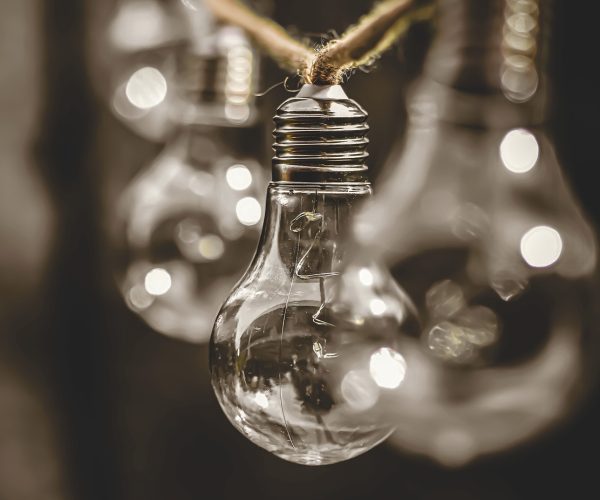 lightbulb, energy, nature-5244001.jpg